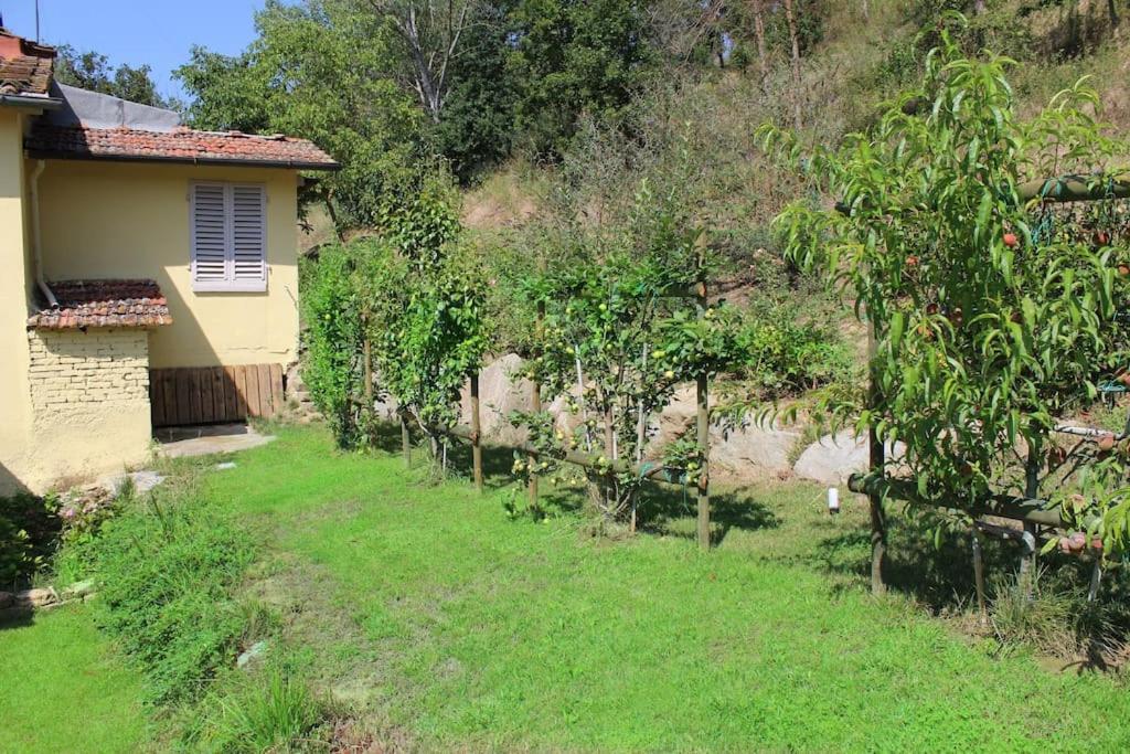 Casa Barulli - Tuscany San Giovanni Valdarno Bagian luar foto